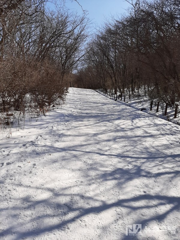 ▲ 전남 구례군 지리산국립공원 노고단 탐방로의 모습