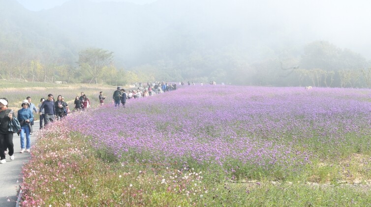 음성명작페스티벌과 함께하는 다양한 체...