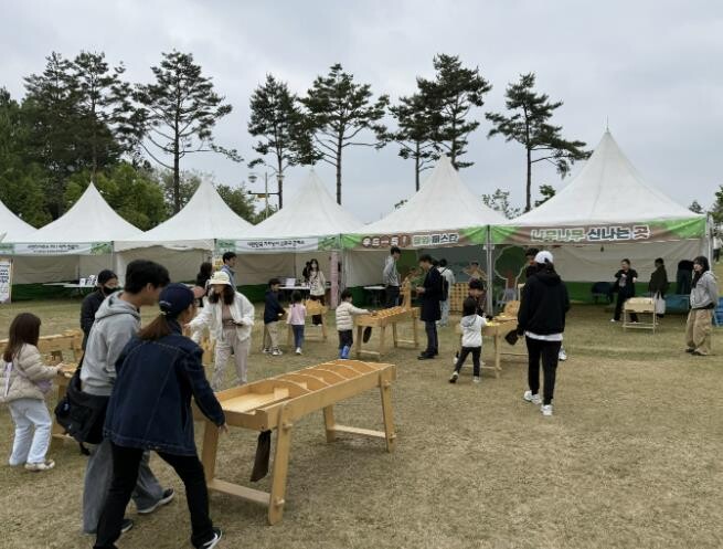 목재친화도시 청주, 