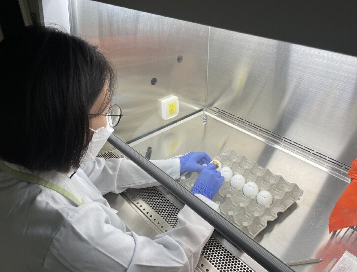 충북도, 동물위생시험소, 고병원성조류...