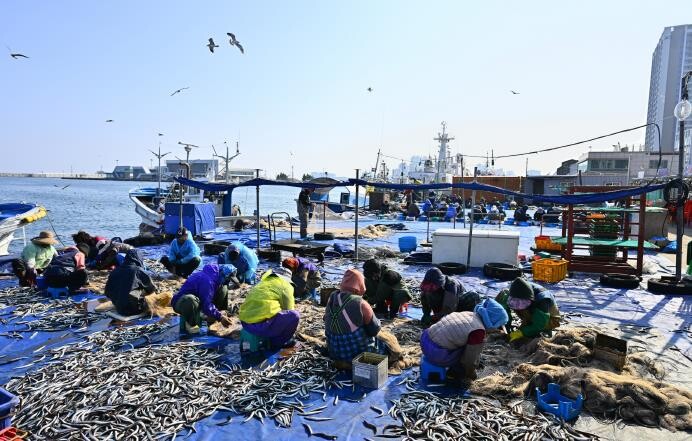 제16회 속초 양미리·도루묵 축제 1...