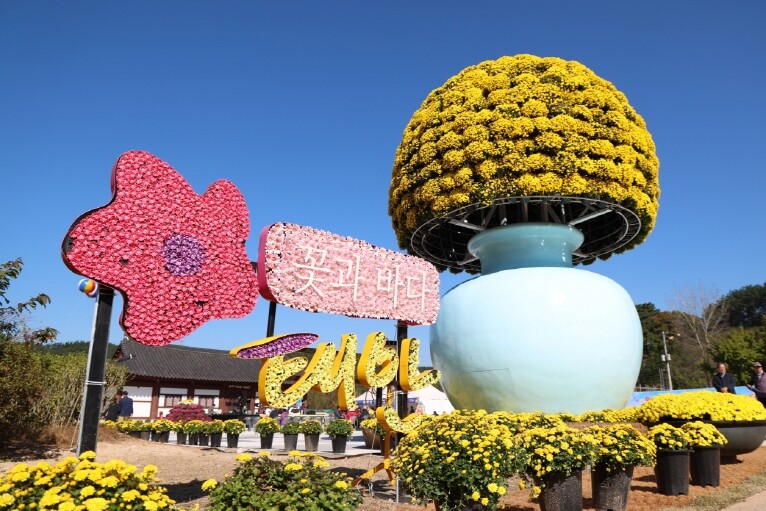 태안 국화축제, 11월 12일까지 연...