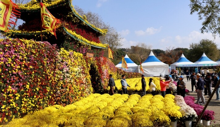 제22회 백제고도부여국화축제, 성황리...