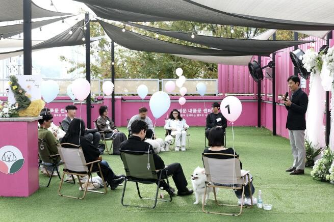반려동물친화도시 서대문구, 반려견 매...