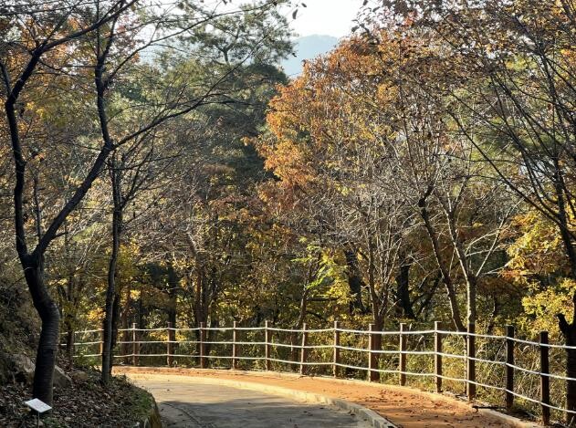 상주시, 가을빛에 물든 성주봉자연휴양...