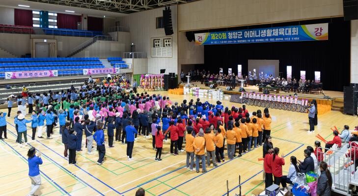 제20회 청양군 어머니생활체육대회 성...