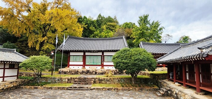 노란 은행잎 물드는 11월, 문학과 ...