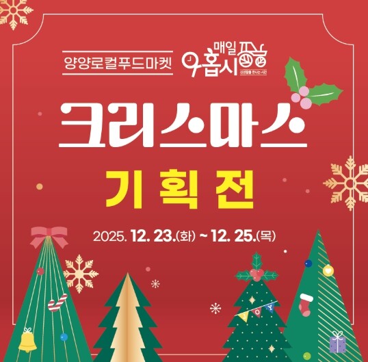 양양로컬푸드마켓 ‘매일아홉시’, 크리...