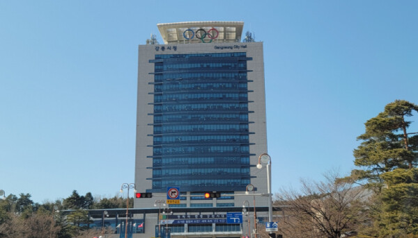 강릉시, 아프리카돼지열병 2만여 마리...